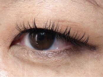 ウルカ アイラッシュ(uruka EYELASH)/フラットラッシュ 120本