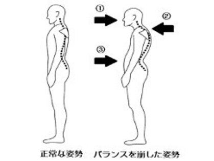 シーズセブン(Seeds7)の写真