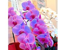 リリー(LILLY)の雰囲気（今年7月にオープンいたしました☆）