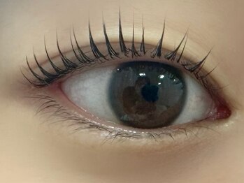 ミアン 小岩店(Mian)/★パリジェンヌラッシュリフト★