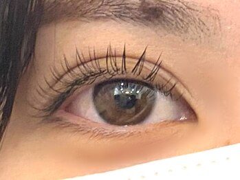 ペルシャ(Persian)/お客様デザイン【若葉/鶴ヶ島】