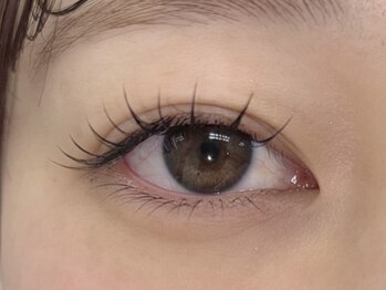 プラスアイ 銀座中央通り店/LED上下まつエク