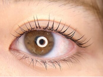 リアージュ(Liage)の写真/【ナチュラル派に人気☆】0.06mmの繊細な毛質で素敵な仕上がりに♪カラー変更もOK!理想のパッチリeye