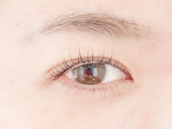 トレヴァーデルチザン 南船場店(Trevor de'rtisan eyelash)/コラーゲンまつげパーマ#Trevor