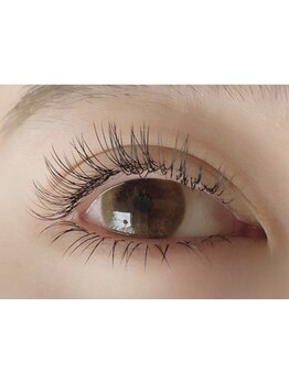 初めての方にオススメ