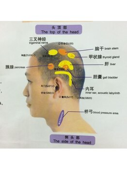 東洋医学ソフト中国気功整体院/
