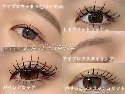 リス(Lys)の写真