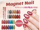 マグネット新色14色登場☆