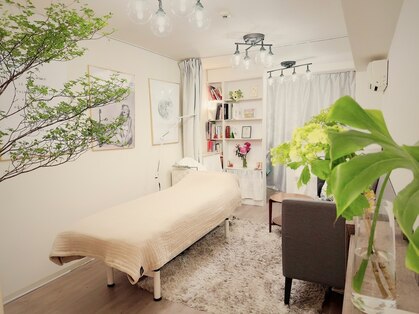 ヌー(Nu.)の写真