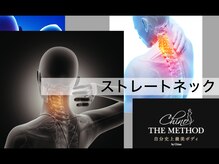 サザンベル(Southern Belle)/