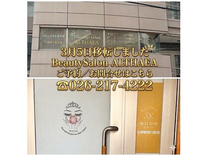 アルセア(ALTHAEA)の写真