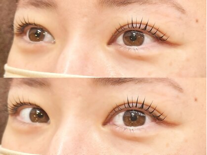 チッパー(CHIPPEr)の写真