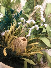 ヨサパーク シー(YOSA PARK Sea)/キャンペーン