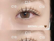 エイチ(H)/ブラウンフラットラッシュ120本