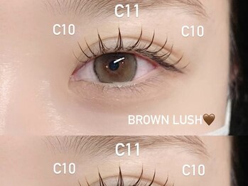 エイチ(H)/ブラウンフラットラッシュ120本