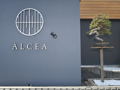 アルセア(ALCEA)の写真