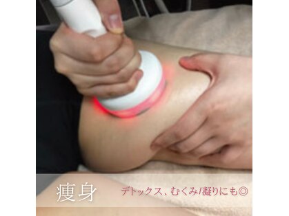 コマチ(comachi)の写真