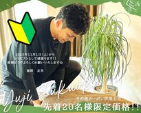 リヴァイヴァル(REVIVAL)