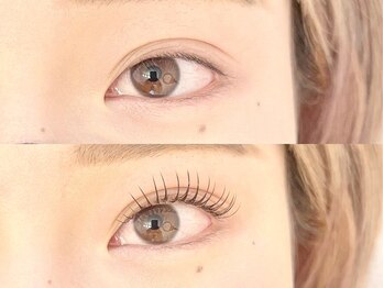 スイ(SUI)/フラットラッシュ120本 ブラウン