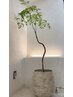 【全身疲労解消】全身ボディケア30分＋ふくらはぎリンパ美脚40分計70分￥4900