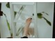 Onskar 香林坊スクール併設店【パラジェル/フィルイン/マグネット/ワンカラー】の写真/サンダルの季節に◎足元から気分が上がる大人のフットネイル