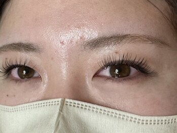 ウルカ アイラッシュ(uruka EYELASH)/フラットラッシュ 100本