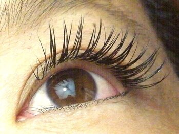 ジャミン(Jammin)/長年培ってきたプロ技。