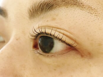 リョウ(RYO)/アイラッシュカール（カール）