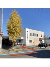 スキンイノベーションサロン 新潟女池店/※2026年現在