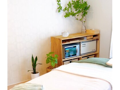 クーナ(cuna)の写真