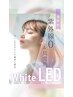 【LED×Wフラット】LEDエクステ×Wフラット100束　アイシャンプー込