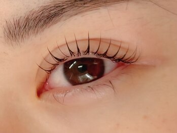 ラメール(La Mer)の写真/自まつ毛を生かした自然な仕上がり 美容液コーティング仕上げ付き♪