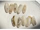 ネイル エリス(Nail Ellis)の写真