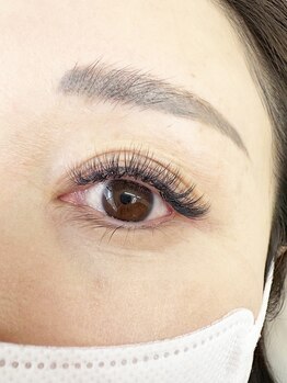 パトラ(PATRA)/ボリュームラッシュ500本