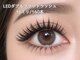 ラシル 名古屋店(racil)の写真/【LED】豊富な種類からまつエクの最適解をご提案!口コミ高評価のカウンセリングでミリ単位の似合わせ◎