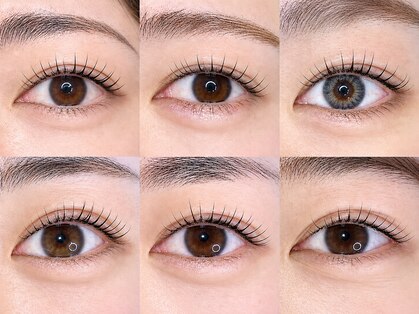 エリエッダ(Eriedda)の写真