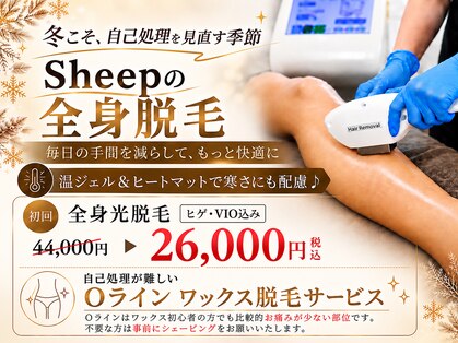 シープ(Sheep)の写真