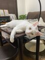 ホームサロンアヴニール(Home Salon Avenir.)/Home Salon Avenir.【アヴニール】