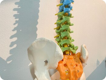 リーン 綱島(REen)/調整箇所