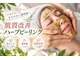 ライム 横浜(LIME)の写真