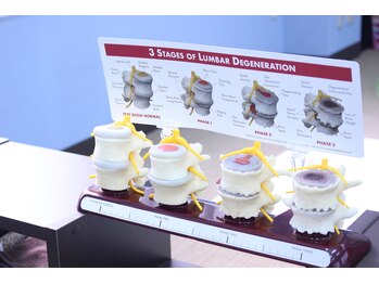 カラダゆがみ工房 カイロプラクティックケアセンター/歳のせいじゃない！