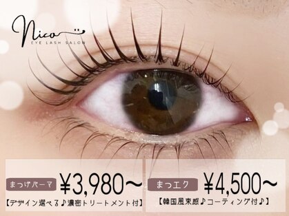 ニコ(Nico)の写真