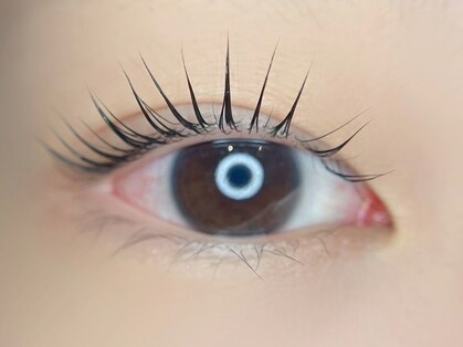 ALPHA CUT VILLA eyelash【アルファカットヴィラ アイラッシュ】の写真