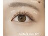 【近江八幡店限定☆】Perfect lash100束ブラウンorカーキ※デザイン限り有