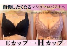 ラヴィス(Ravis)