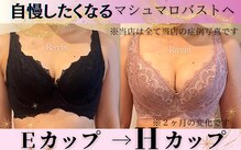 ラヴィス(Ravis)