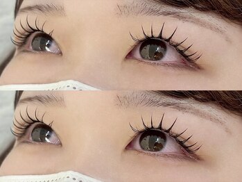 ルピナス 川口(Lupinus)/パリエク(100本)