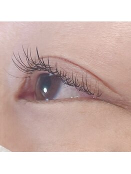 ニコリ(Nicori)/マツエク フラットラッシュ