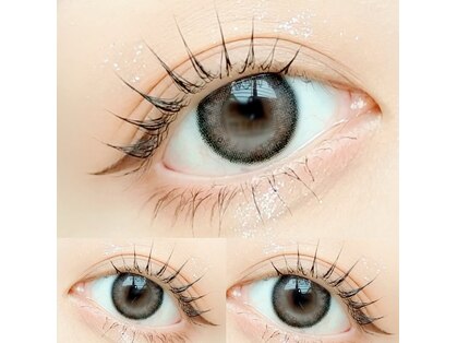 ミモザ(MIMOSA)の写真