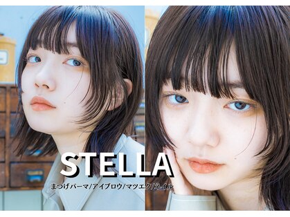 ステラ(STELLA)の写真